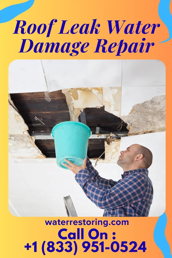 Roof Leak Water Damage Repair in Dolgeville, NY