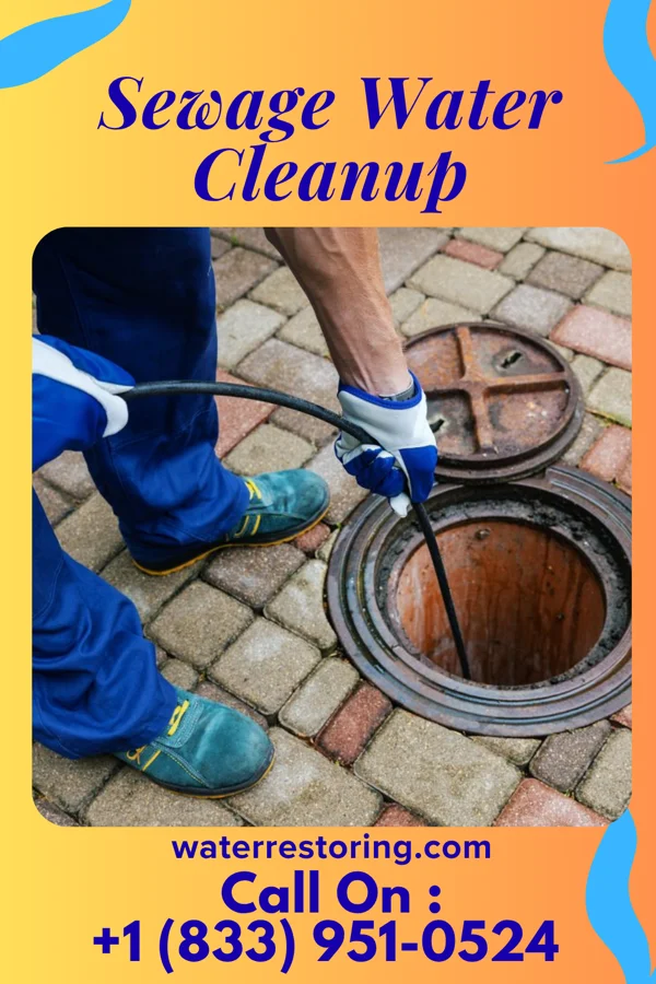 Sewage Water Cleanup in Dolgeville, NY