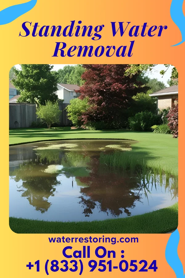 Standing Water Removal in Dolgeville, NY